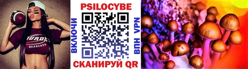 закладка  Дмитров  Псилоцибиновые грибы MAGIC MUSHROOMS 